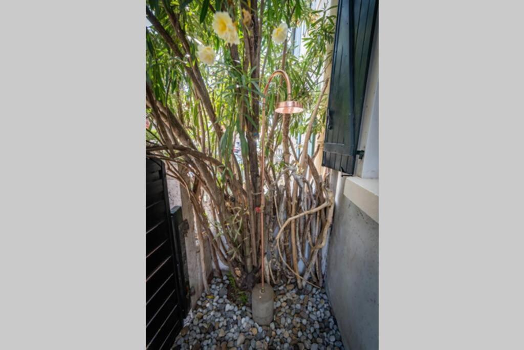 Cote Des Basques, Terrasse, Confort Et Qualite Biarritz Exterior photo